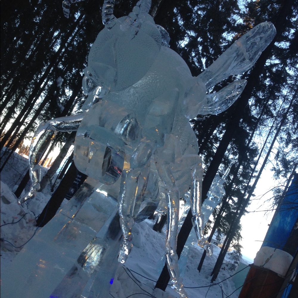 Meet your Posher, Daniel